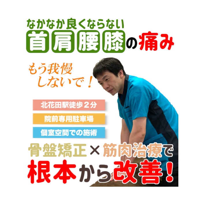 整骨院ヘッダー